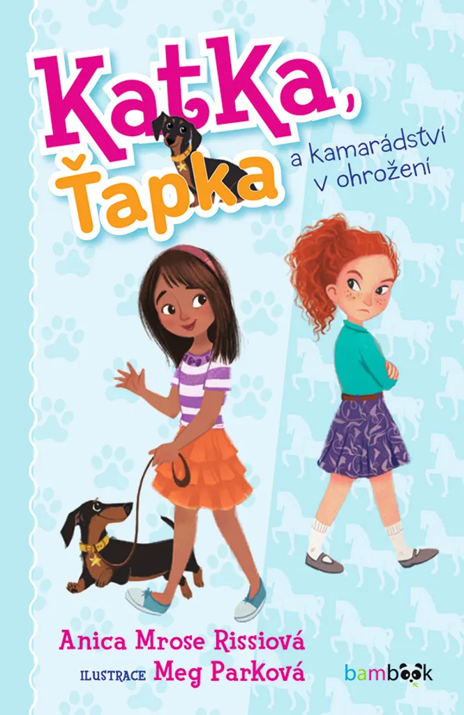 Livre illustré Katka Ťapka : amitié et mystère par Rose Rissi Anica