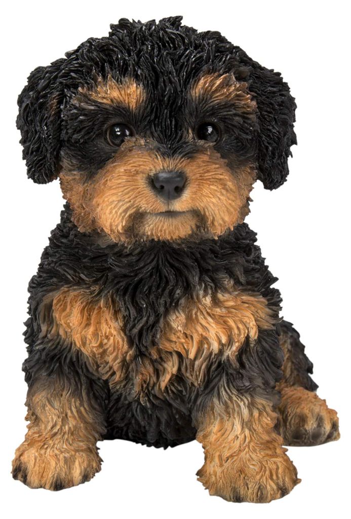 Pet Pals Cavapoo, Harzdekoration für Haus oder Garten, schwarz und hellbraun