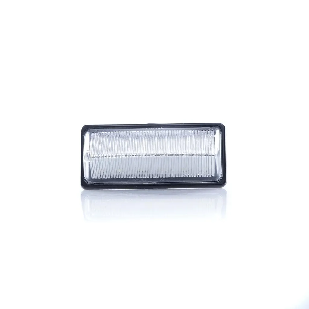 Module LED Plaque Immatriculation Nissan Pathfinder Murano 6000K 12V - 5