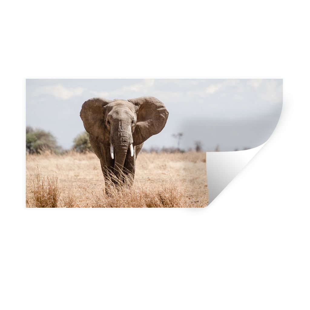 MuchoWow Wandtattoo Wandsticker Wandaufkleber Elefant - Natur - Tiere - Porträt 120x60 cm Selbstklebend und Repositionierbar - Sticker - Dekorfolie