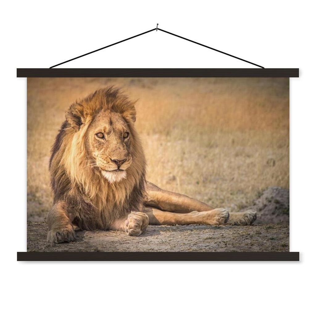 MuchoWow Textilposter Löwe - Nahaufnahme - Savanne 90x60 cm mit schwarzem Rahmen - Aufhängungssatz