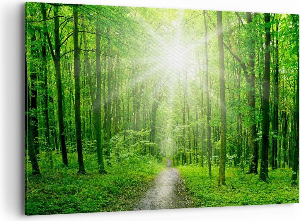 Bild auf Leinwand - Leinwandbild - Sonnenstrahlen Wald Sommer - 100x70cm - Wand Bild - Wanddeko - Leinwanddruck - Bilder - Kunstdruck - Wanddekorat...