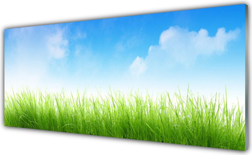 Acrylglasbilder 125x50 Wandbild Druck Gras Natur
