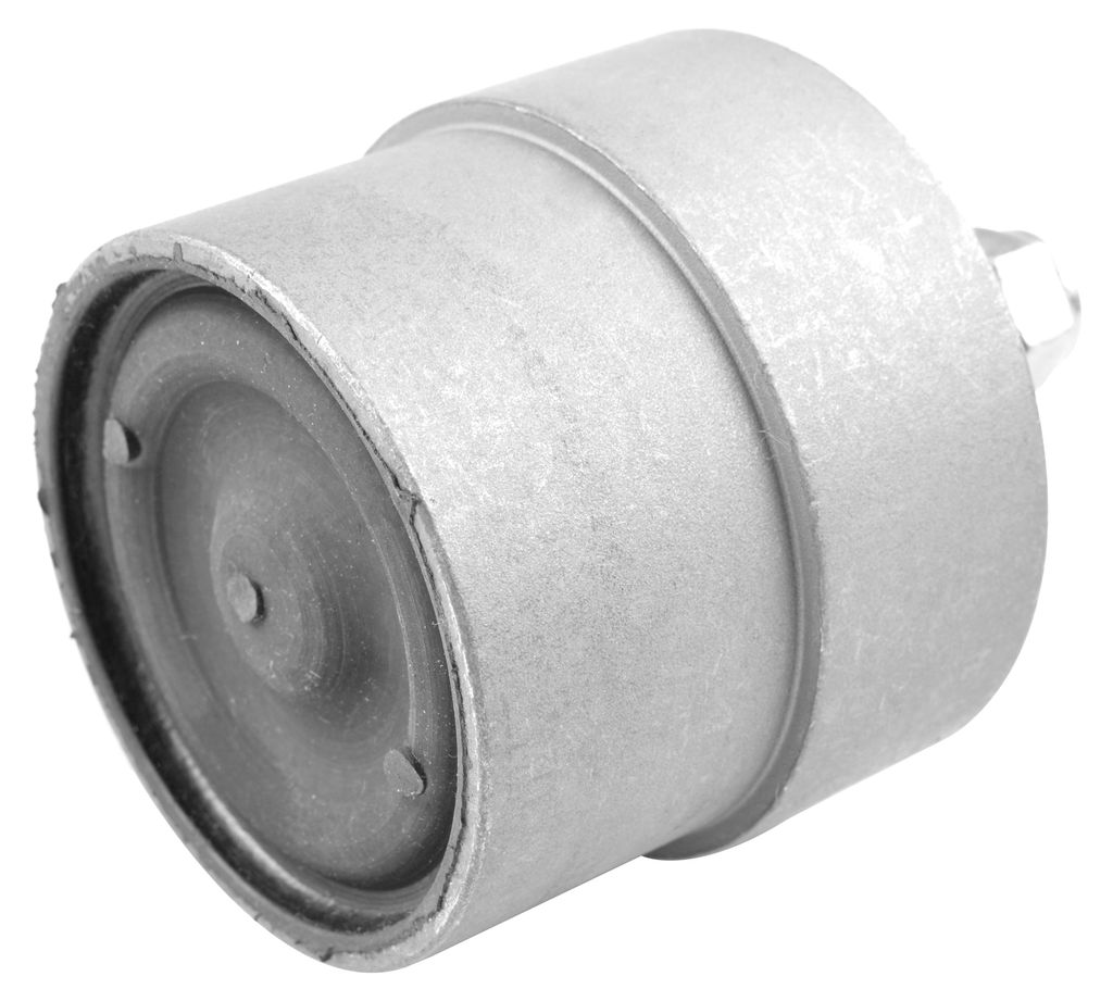 TEDGUM Motorlager Gummimetalllager für SUZUKI SWIFT III (MZ, EZ) 00650278