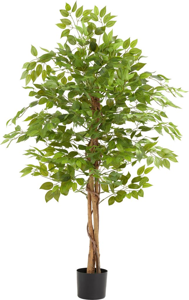 Ficus artificiel FIDA à l'aspect naturel - 160 cm Image du produit 