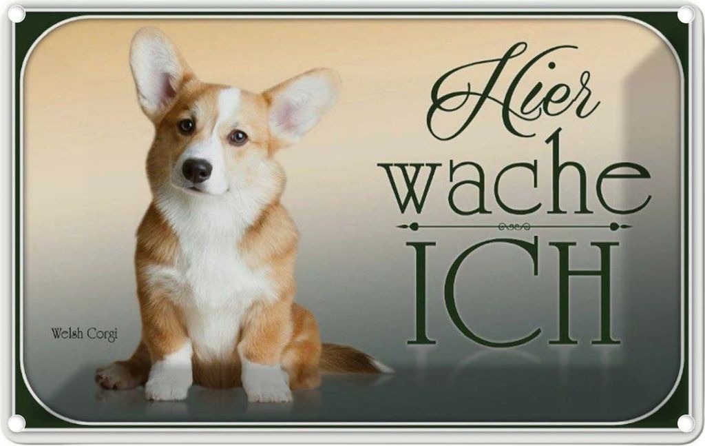 vianmo Blechschild 20x30 cm Hund Chihuahua hier wache ich Tier Haustier