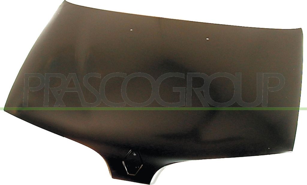 Ersatz Motorhaube für Renault Scenic Baujahr 1996 bis 1999, RN0303100