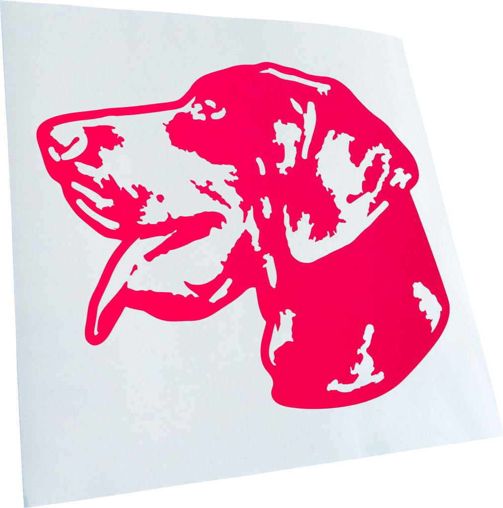 Kiwistar - Autoaufkleber - Pointer Hund - Neonpink - 50x42cm - Aufkleber für Auto, Laptop, Fahrrad, LKW, Motorrad mehrfarbig JDM Decal Racing