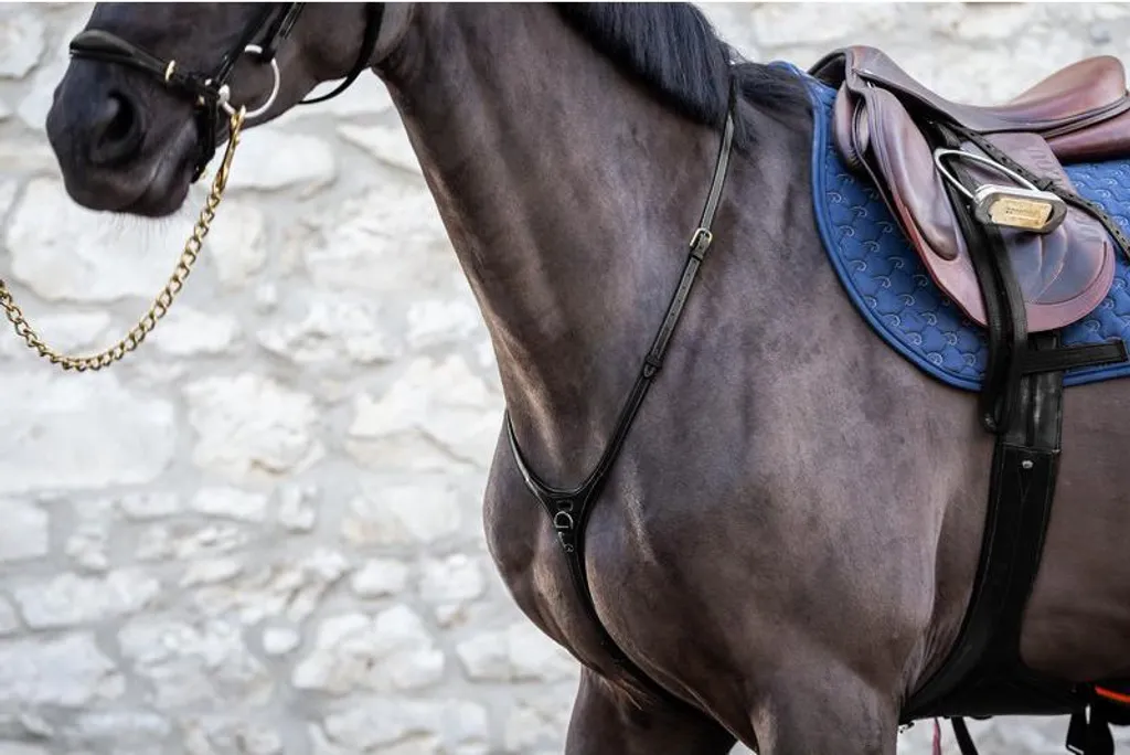 Collier de chasse Dy'on Yoke Noir Full pour concours et saut d'obstacle