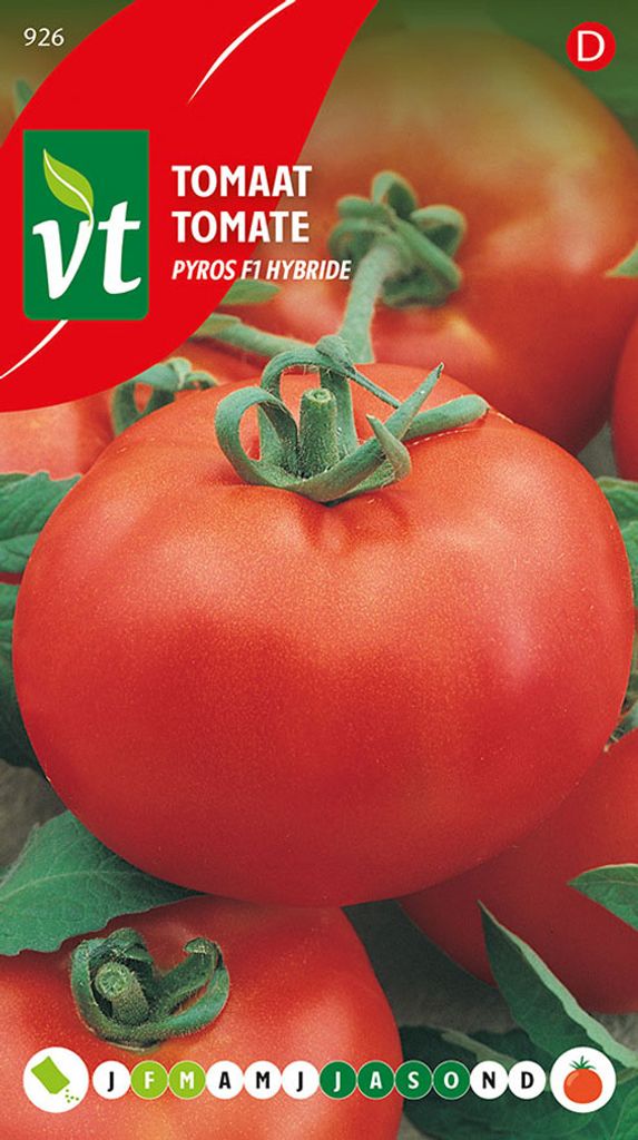 Pomodoro Pyros F1-Semi ibridi - Circa 0,3 gr | VT_926 Immagine del prodotto 
