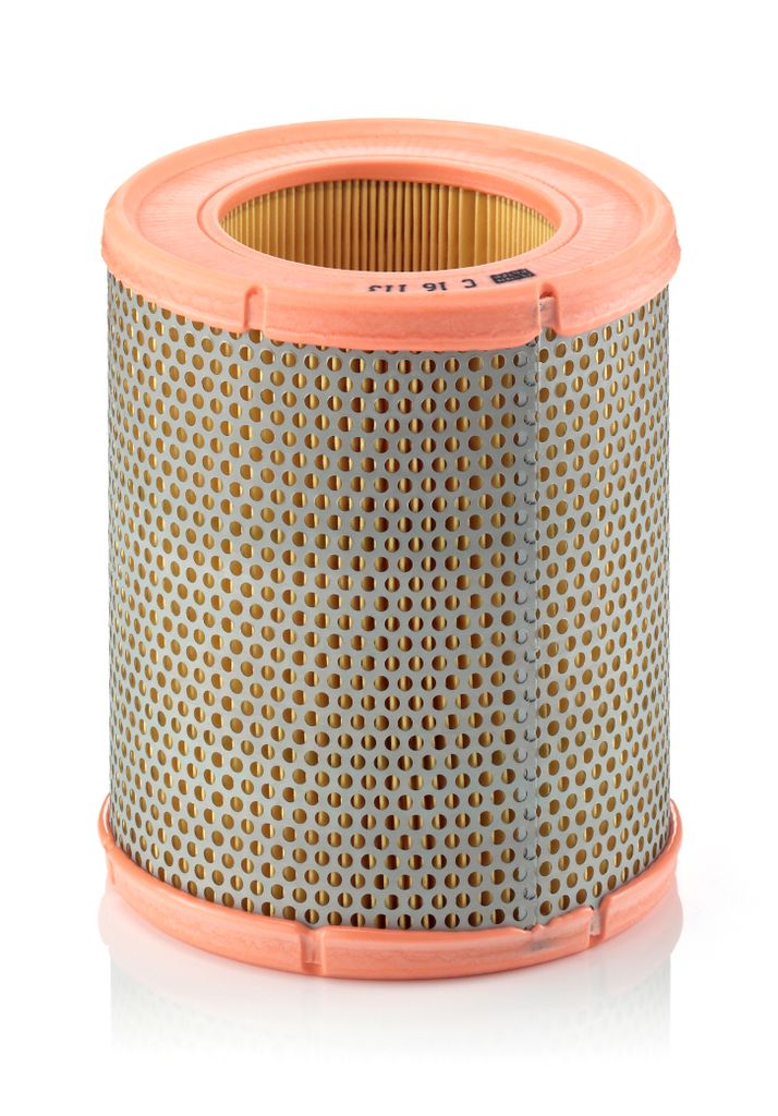 Luftfilter C16113