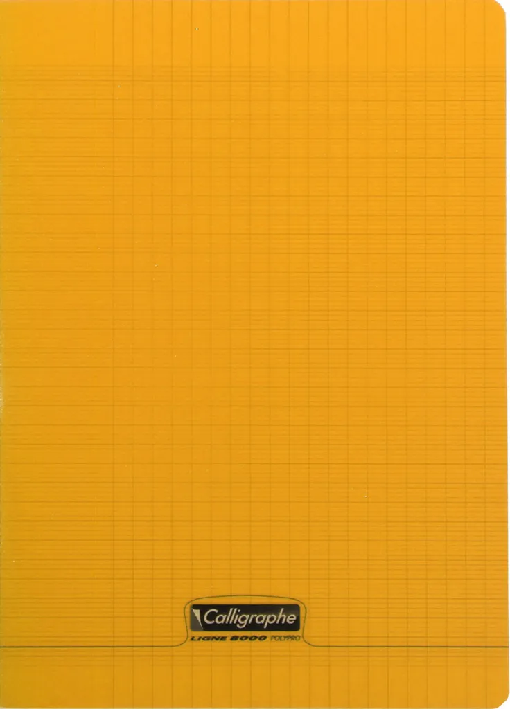 Quaderno Calligraphe 18385C 24x32 cm Quadretti 5mm Copertina PP