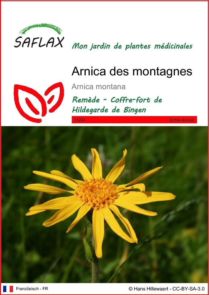 SAFLAX  - Arnica des montagnes - 40 graines - Arnica Image du produit 
