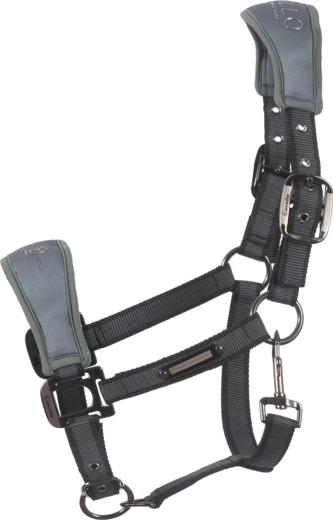 Licol en Softshell Rembourré pour Cheval Cavallo Thyme - Taille Full