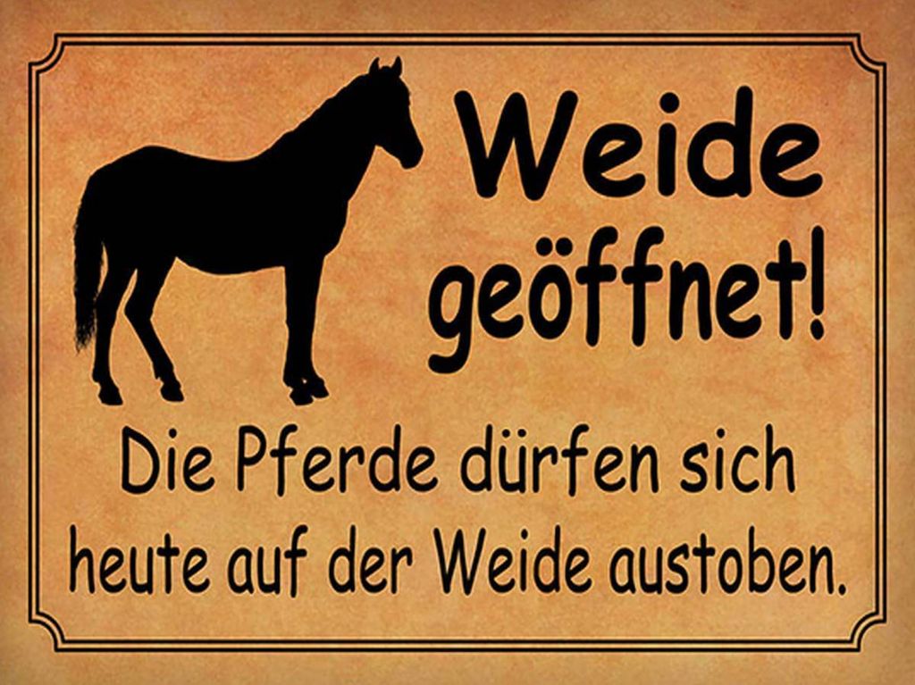 vianmo Holzschild 30x40 cm Weide geöffnet Pferde dürfen
