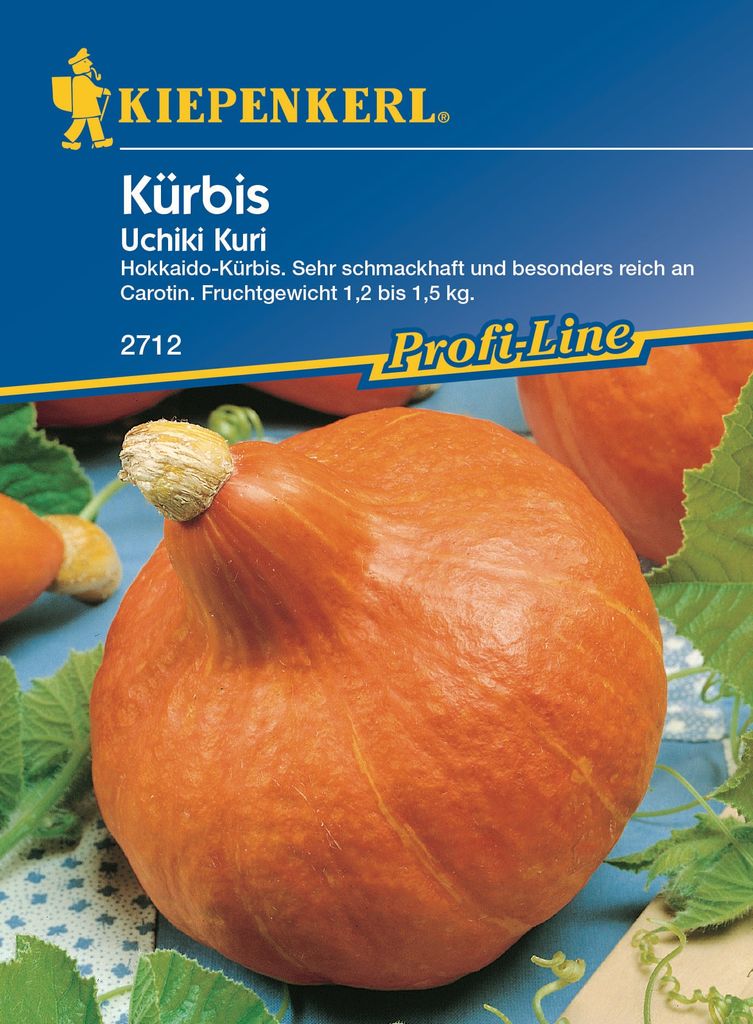 Kürbis Uchiki Kuri, Hokkaidokürbis Produktbild 