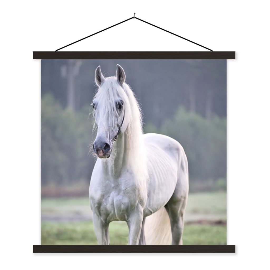 MuchoWow Textilposter Pferd - Licht - Morgen 40x40 cm mit schwarzem Rahmen - Fotos