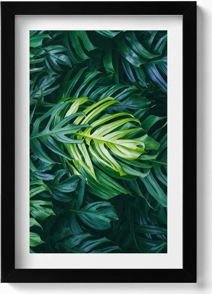Tropische Natur - Monstera-Blätter– Wandbild mit Rahmen – Gerahmtes Bild – Wanddekoration – 20x30 cm – Schwarz