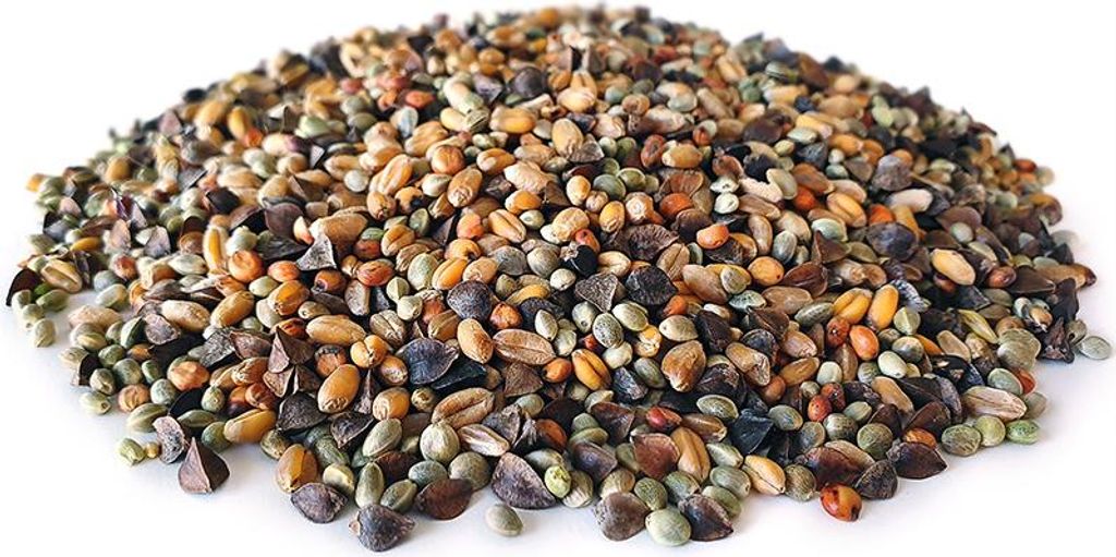 Golden Partikel Mix 2,5KG | Karpfen futter