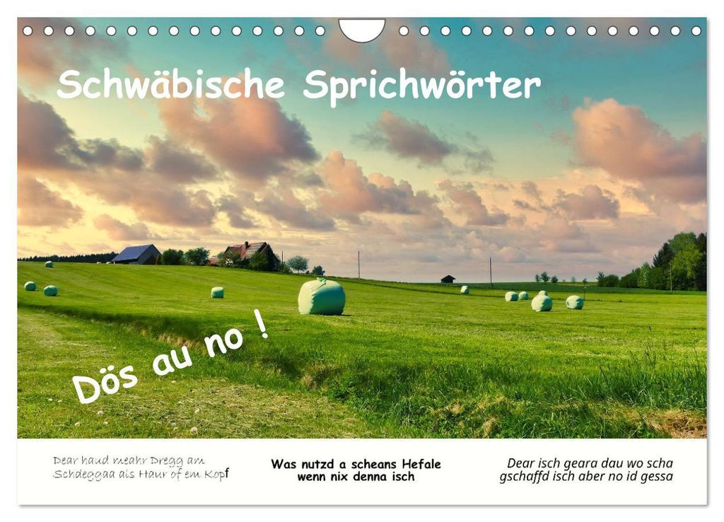 03 Schwäbische Sprichwörter - Dös au no! (Wandkalender 2027 DIN A4 quer), CALVENDO Monatskalender