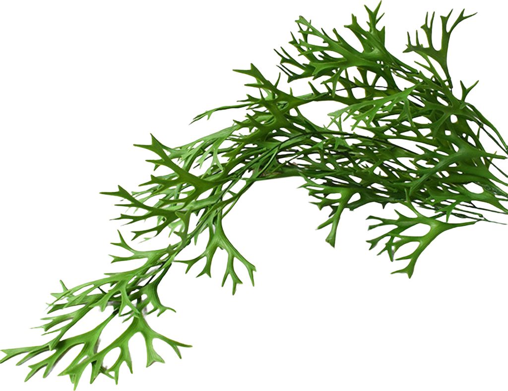 Künstliche Rattan-Wand montiert keine Bewässerung Easy Care lebendige Farbe Realistische Home Dekoration Plastik FACHTE FNERT GREEN PLANTUM HARTH...