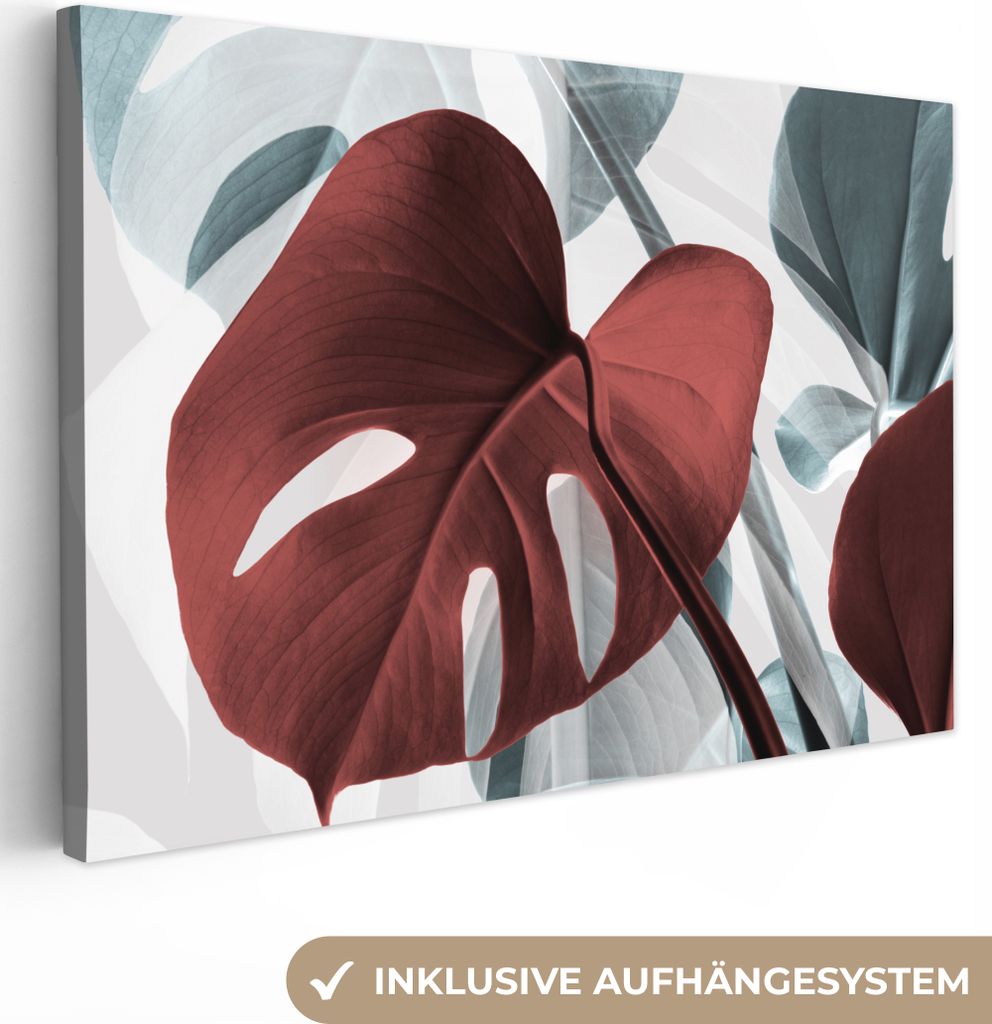 OneMillionCanvasses - Leinwandbilder - 140x90 cm, Monstera - Rot - Pastell - Stilleben, Wandbilder Kunstdruck Wanddekoration - Foto auf Leinwand ...