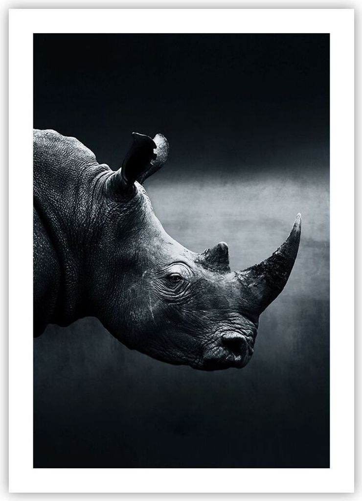 Poster - Poster ohne Rahmen - Nashorn Schwarzweiß Porträt - 50x70 cm - Wand Bild - Wanddeko - Wandbilder - Kunstposter - Wandposter - Bilder - Ku...