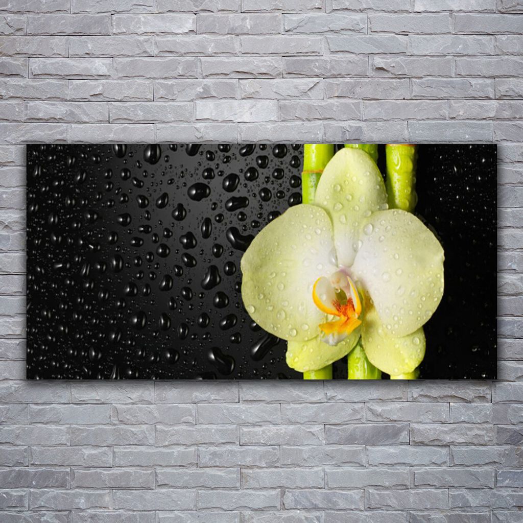 Glasbilder 120x60 Wandbild Druck auf Glas Bambusrohre Blume Pflanzen