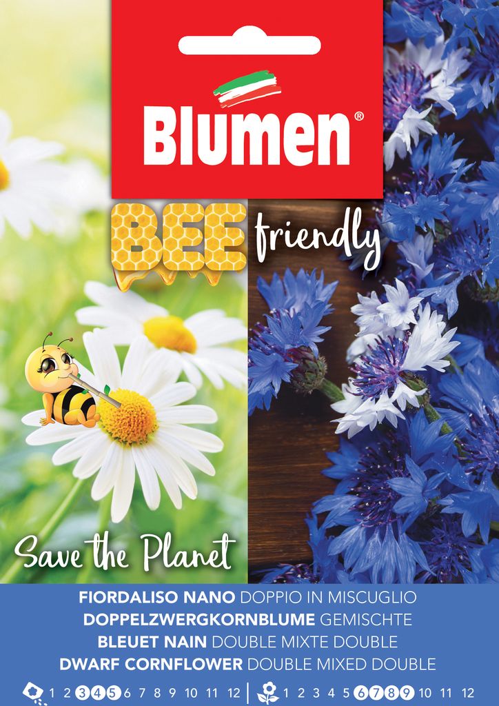 Gefüllte Zwergkornblume Polka | Blumensamen von BLUMEN Group