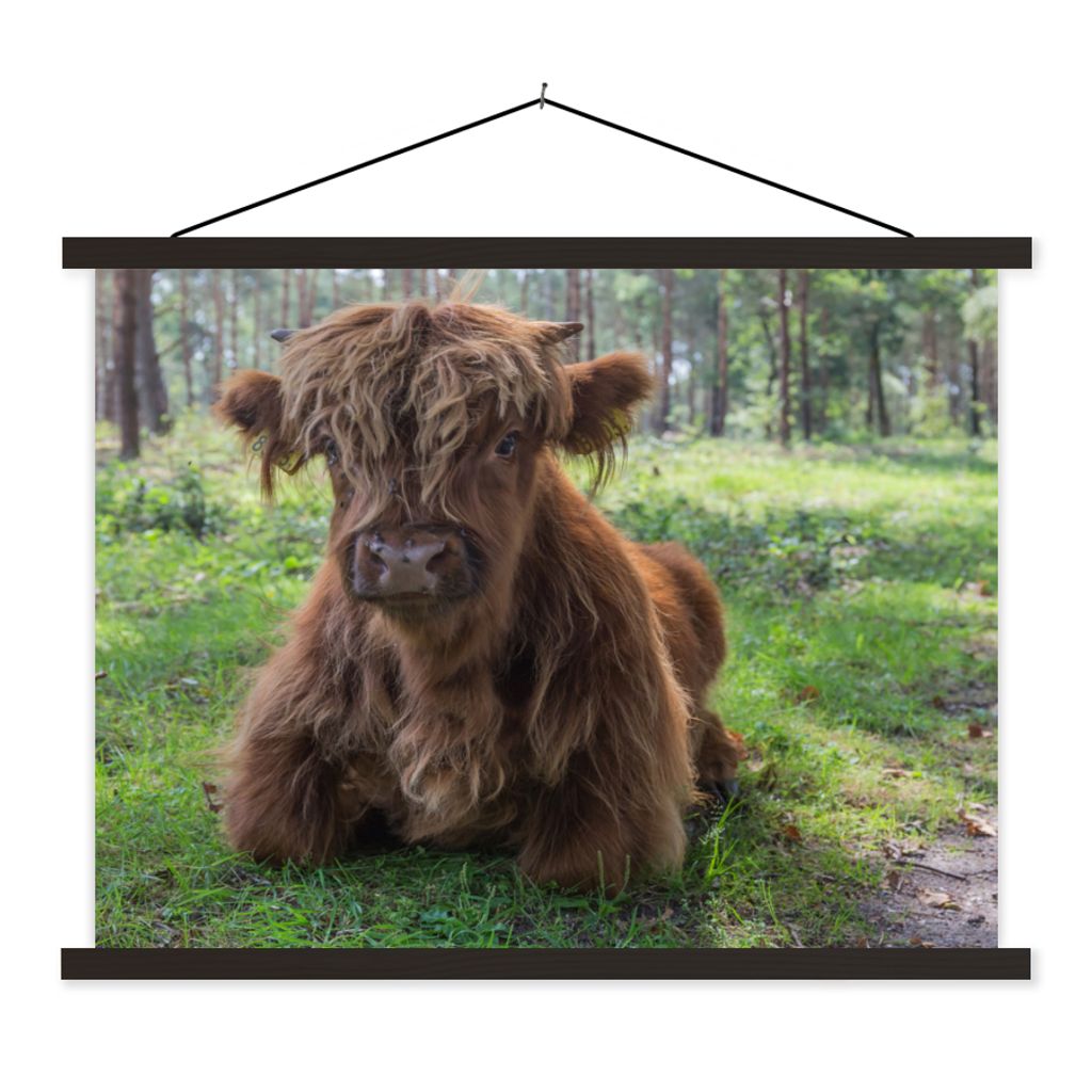 MuchoWow Textilposter Schottischer Highlander - Kröte - Tiere 120x90 cm mit schwarzem Rahmen - Aufhänger für Poster