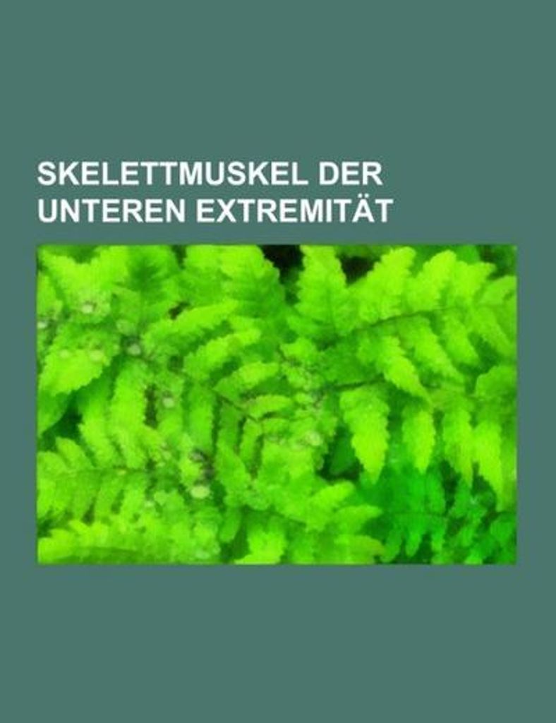 Skelettmuskel der unteren Extremität