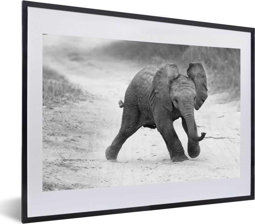 MuchoWow MuchoWow Gerahmtes Poster Elefant - Baby - Tiere - Kröte - Schwarz und weiß 60x40 cm - Poster mit zchwarzem Bilderrahmen - Schlafzim...