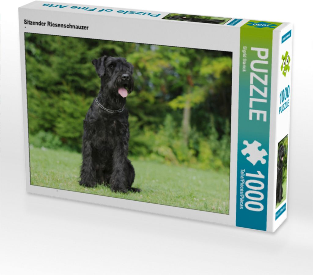 CALVENDO Puzzle Sitzender Riesenschnauzer 1000 Teile Puzzle quer | 1000 Teile Lege-Größe 64x48cm Foto-Puzzle für glückliche Stunden