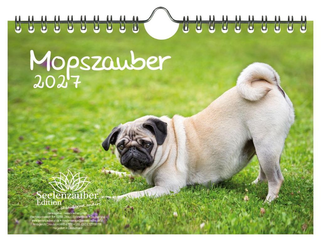 Mopszauber DIN A5 Kalender für 2027 Mops Hunde Welpen - Produktbild 