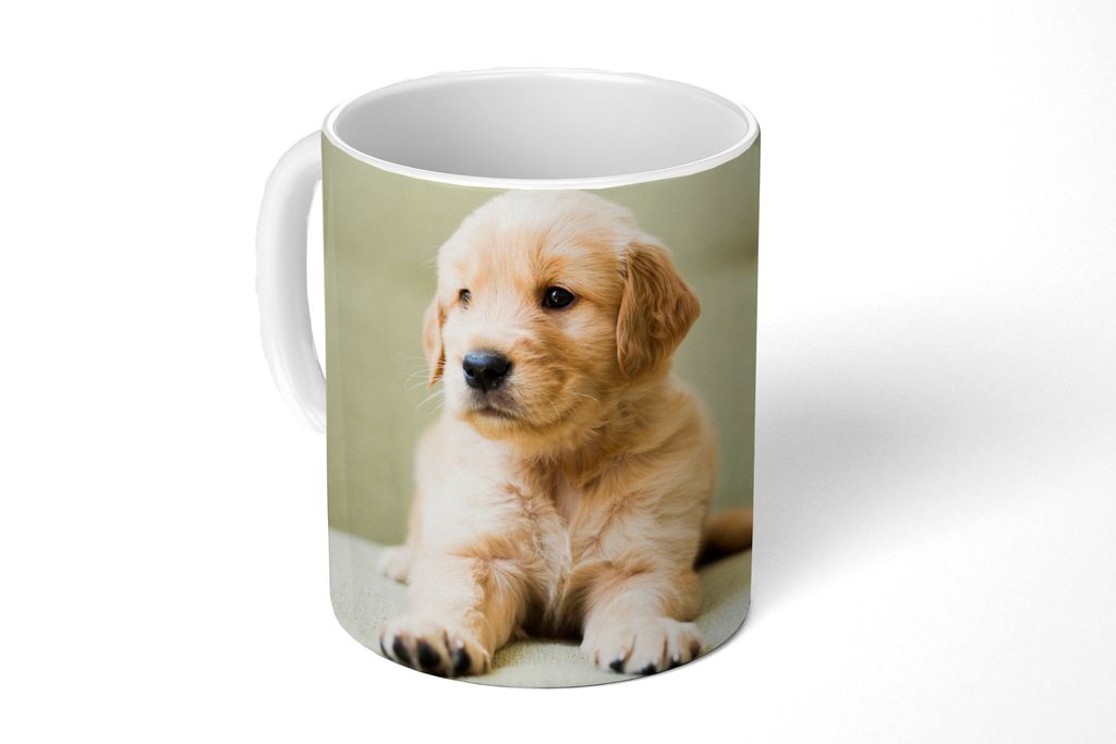 KitchenYeah Tasse Kaffeetasse Kaffeebecher 350 ml Golden Retriever Welpe auf dem Sofa liegend Teetasse - Fototasse - Becher - Keramikbecher - Tee...