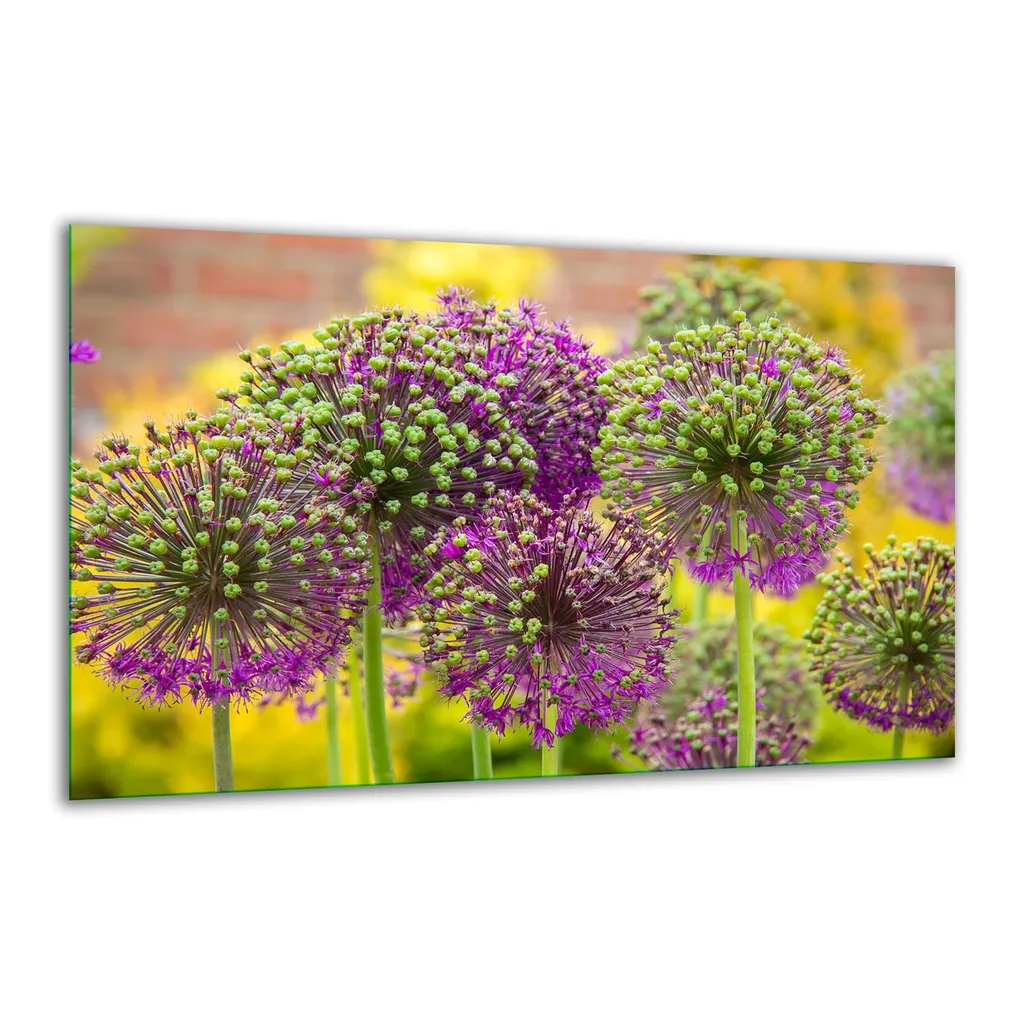 Piastre Vetro 30x52 Coprifornelli Induzione Lavanda Viola - Set 2