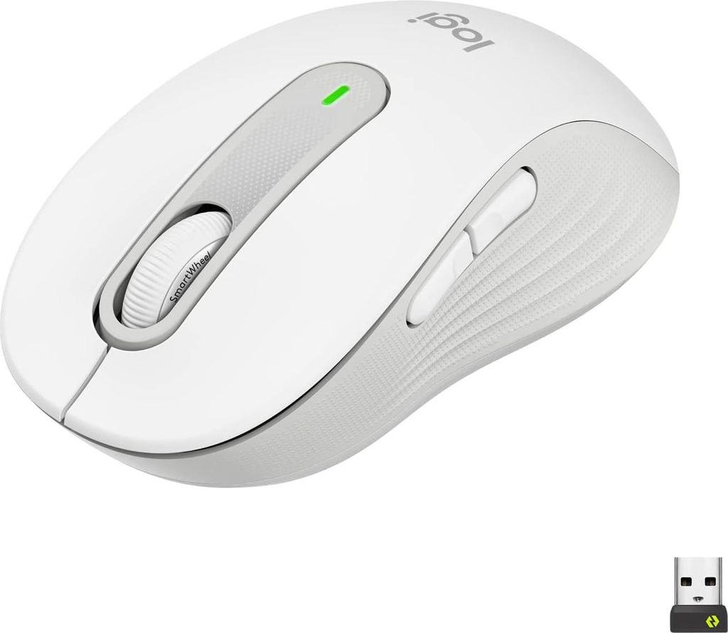 LOGITECH Logitech Signature M650 L for Business Image du produit 
