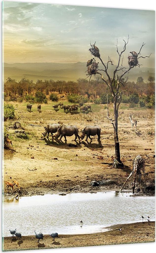 Bilder auf glas - Einteilig - Safari Tiere - 70x100cm - Produktbild 
