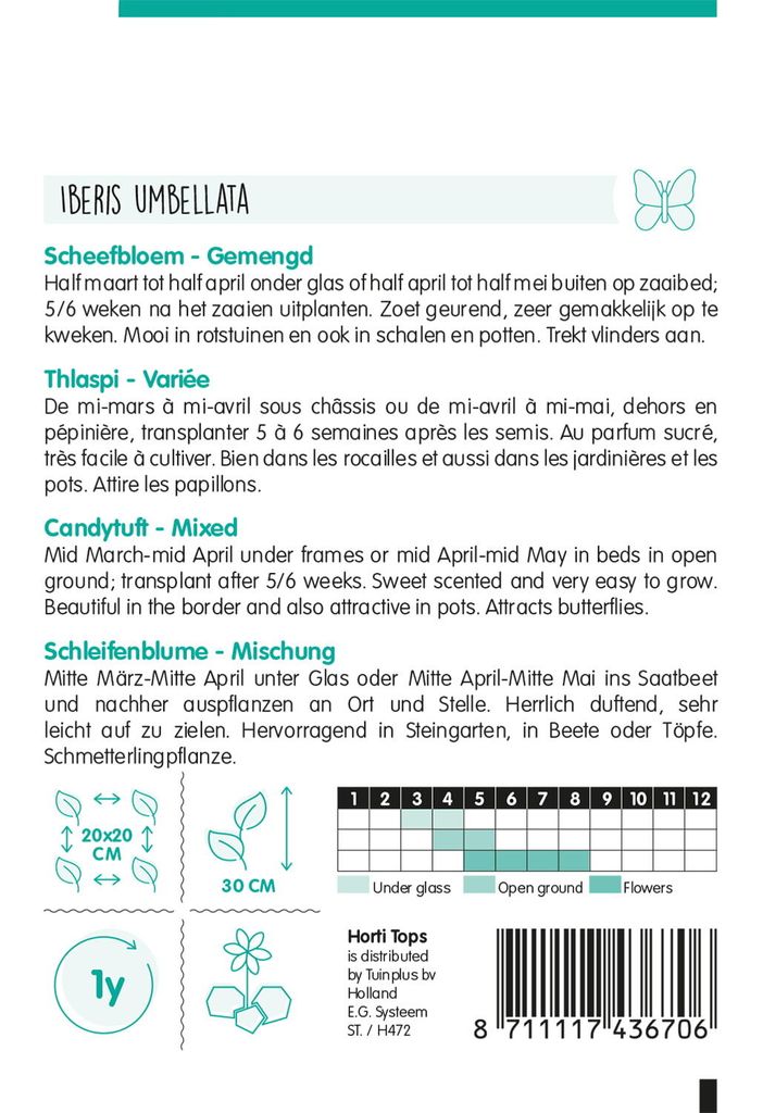 Schleifenblume Mischung | Blumensamen von Hortitops