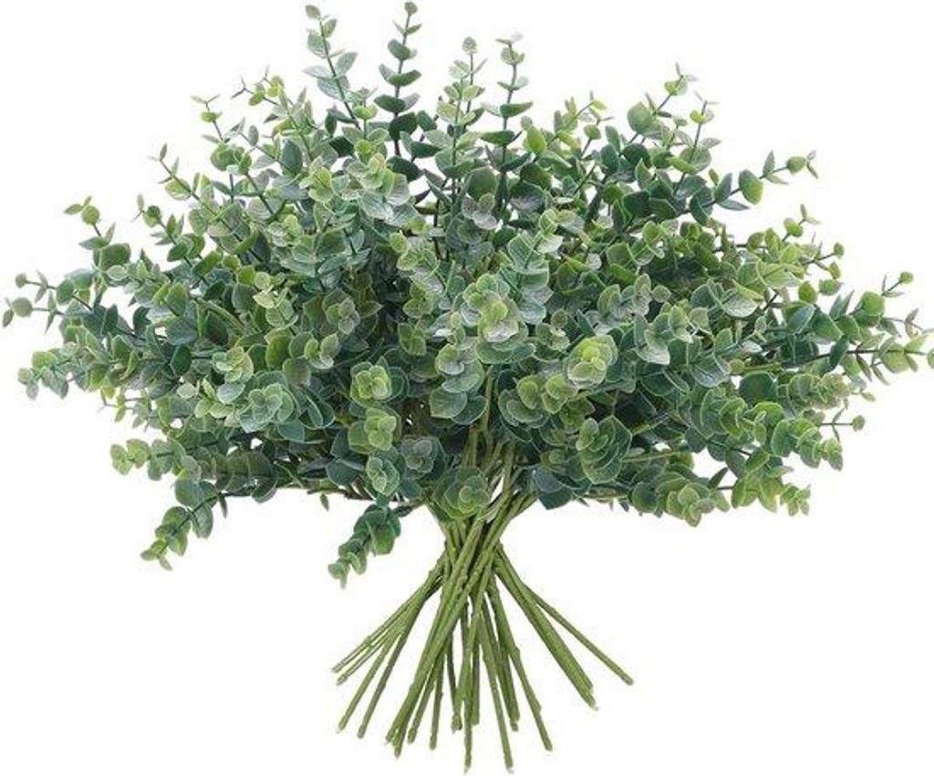 Lebendige Eucalyptus-Stängel - 12 Stück - Binnenpflanze - Realistische Blätter - Grün