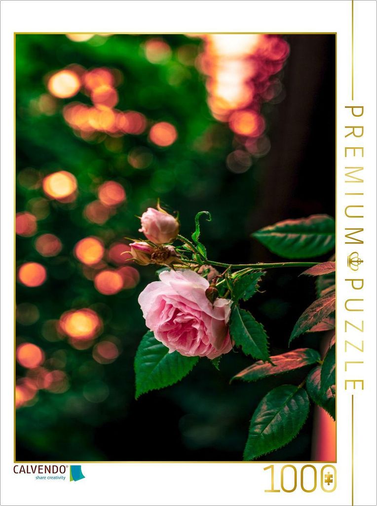 CALVENDO Puzzle Ein Motiv aus dem Kalender Bubble Bokeh | 1000 Teile Lege-Größe 64x48cm Foto-Puzzle für glückliche Stunden