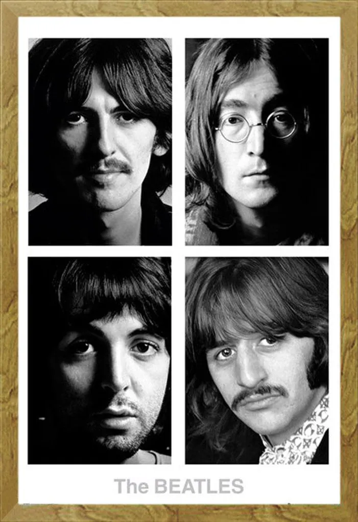 Set Poster Beatles White Album + Cornice Shinsuke 61x91.5 MDF Rovere
