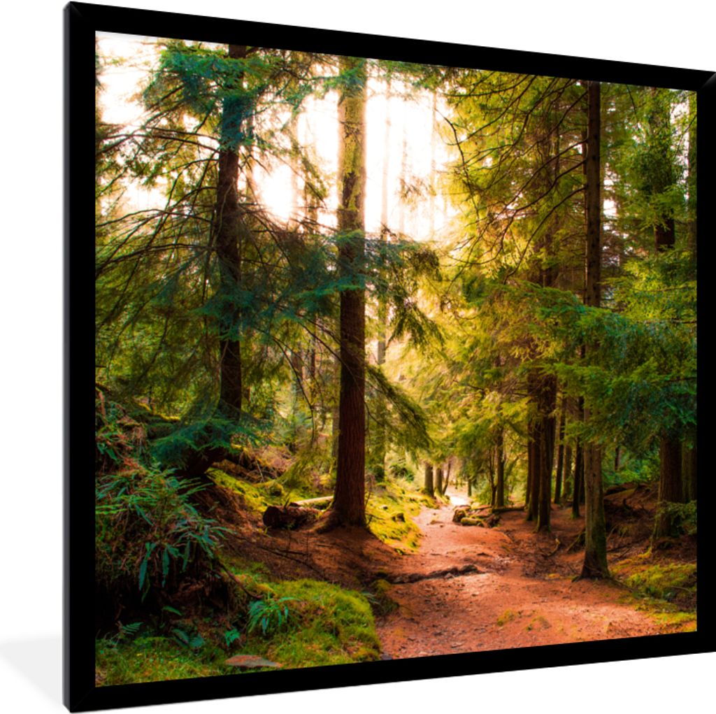 MuchoWow Gerahmtes Poster Wald - Weg - Bäume - Grün - Sonne - Natur 40x40 cm - Poster mit Schwarzem Bilderrahmen Wandposter Rahmen Foto Bilder ...
