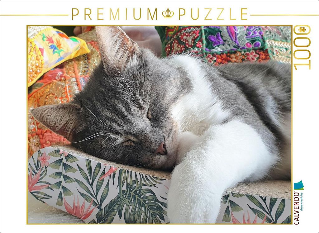 CALVENDO Puzzle Ein Motiv aus dem Kalender Häng einfach mal ab | 1000 Teile Lege-Größe 64x48cm Foto-Puzzle für glückliche Stunden