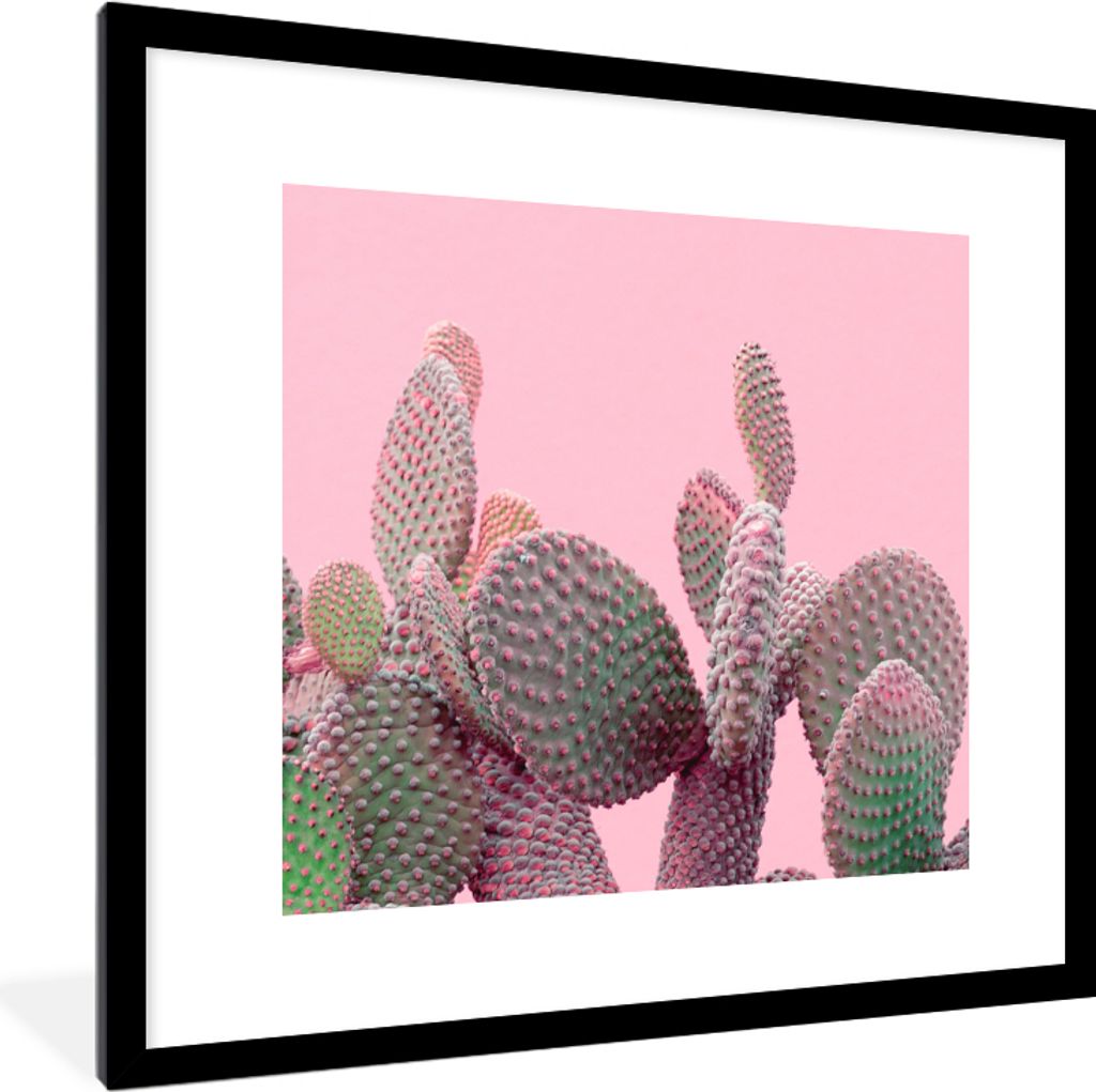 MuchoWow Gerahmtes Poster Kaktus - Pflanzen - Sommer 40x40 cm - Poster mit Schwarzem Bilderrahmen Wandposter Rahmen Foto Bilder - Poster - Plakat...