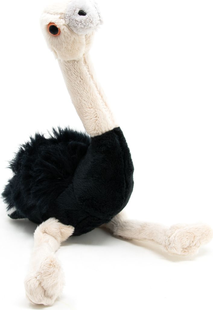 A plush toy ostrich is shown against a white background.
