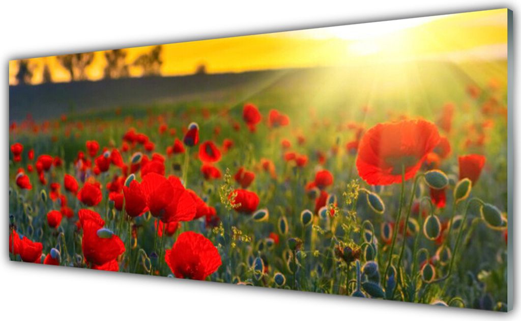 Küchenrückwand aus Glas 125x50cm Spritzschutz Wiese Blumen Natur
