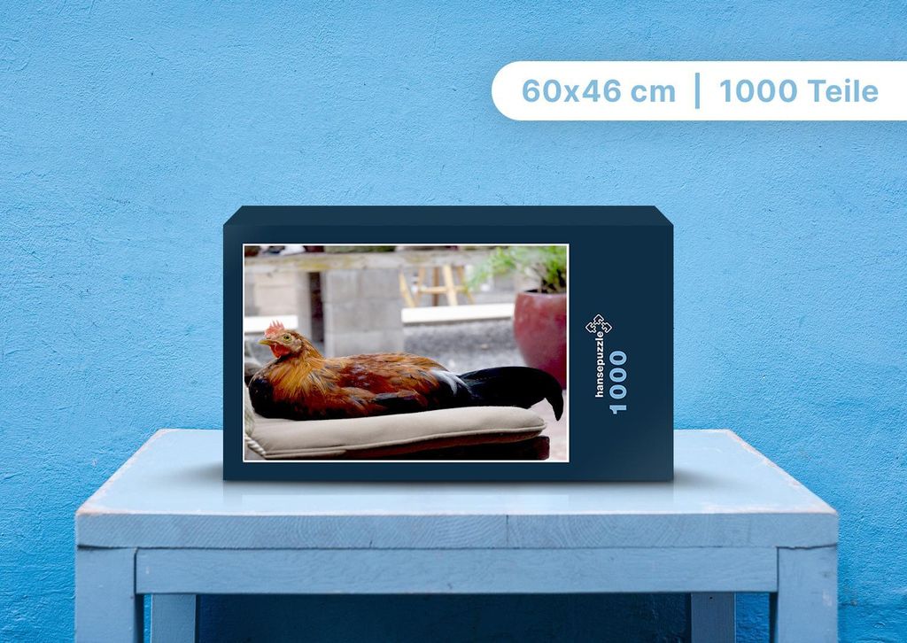 hansepuzzle 103223 - Henne Puzzle, 1000 Teile, Tierwelt, 60,0 x 46,0cm mit hochwertiger Aufbewahrung, Kartonbox und wiederverschließbarem Beutel