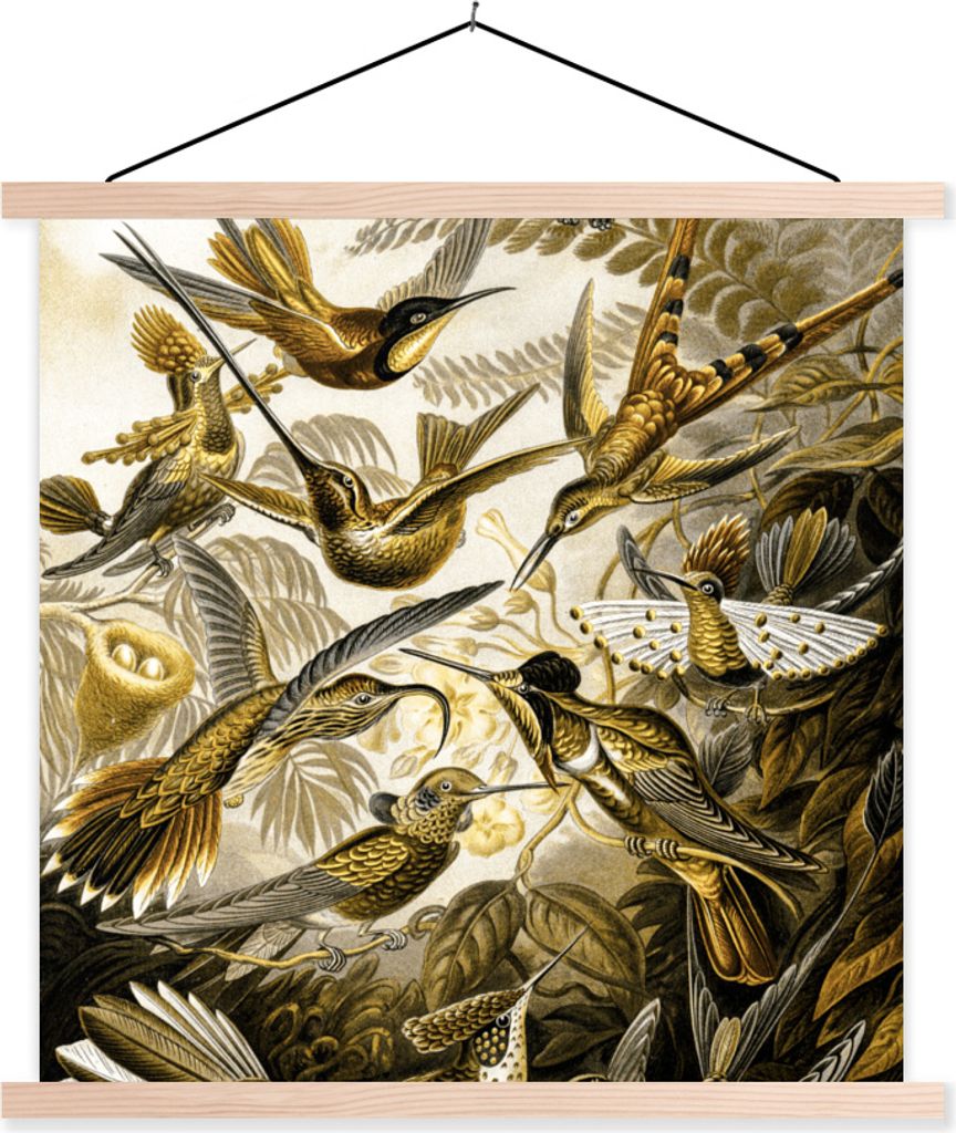MuchoWow Textilposter Trochilidae - Ernst Haeckel - Gold 40x40 cm mit holzfarbenen Rahmen - Posterleiste