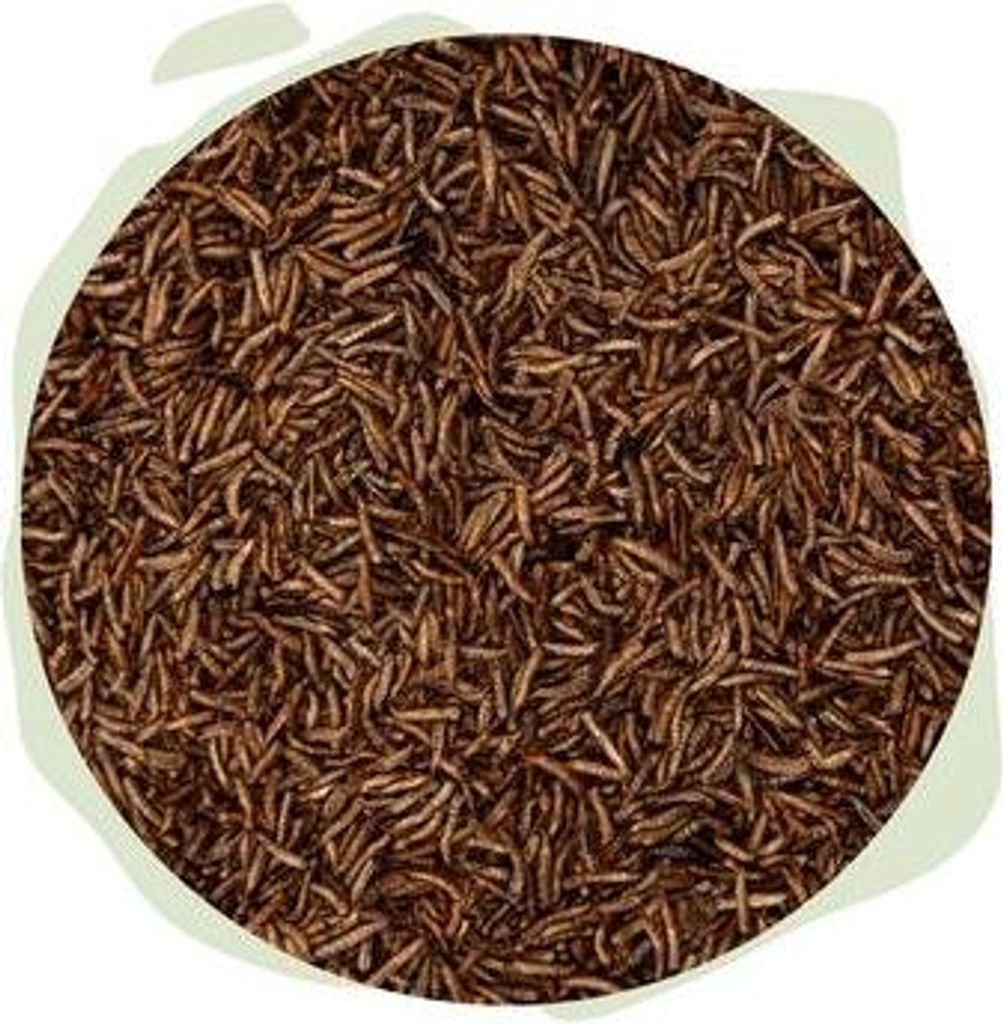 WTS - Naturhäppchen - Fliegenlarven getrocknet – für Geflügel, Vögel, Fische 1000 ml im Eimer